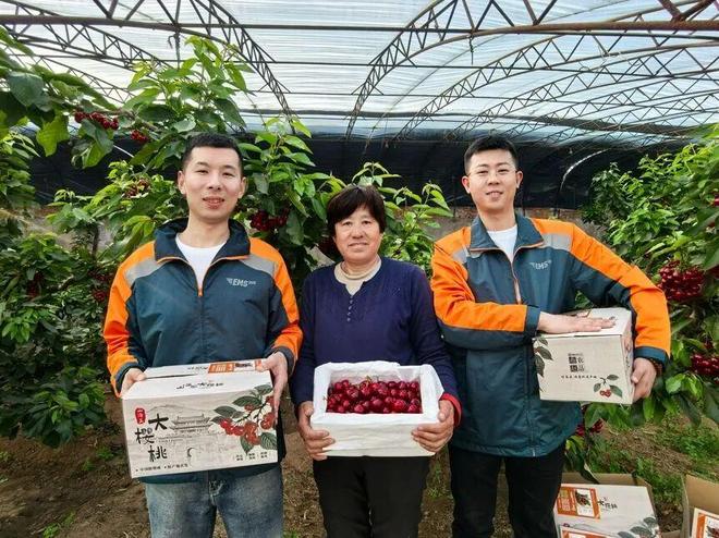 带货助农：从“绿邮包”到“绿幕布”(图2)