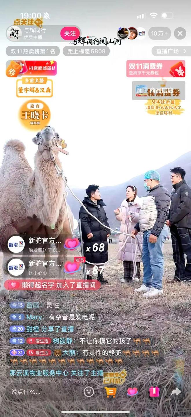 爸妈爱的驼奶粉今年又火了(图3)