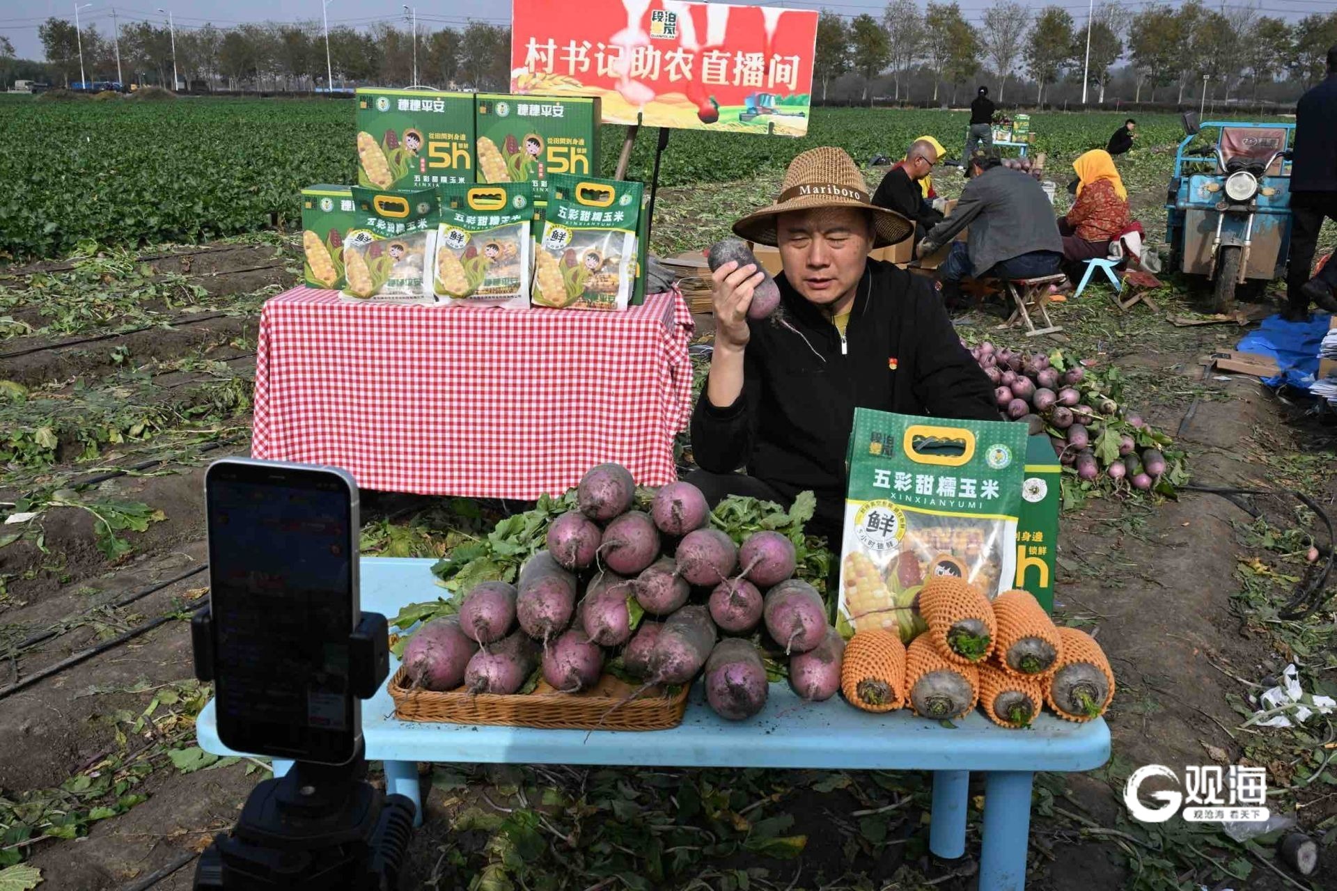 “沾泥土带露水”式直播、一小时接千单！即墨区“网红”书记直播助农增收(图2)