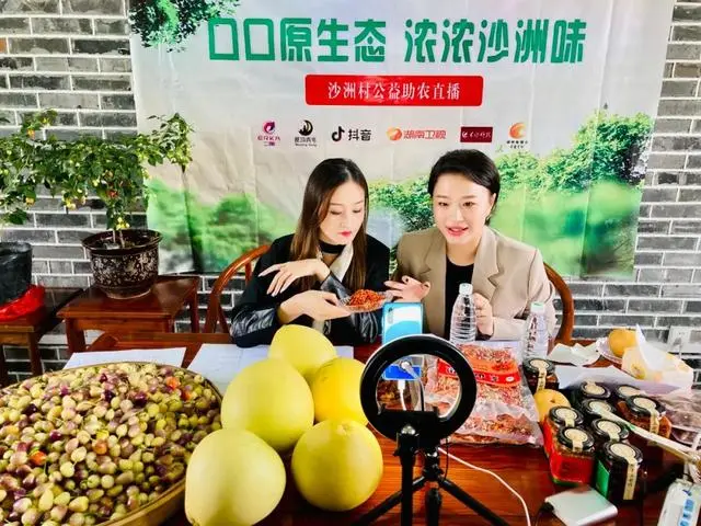 云端逐梦新农人 电商织就振兴路(图1)