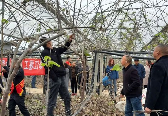 品牌周讯 1117-1123农业品牌活动一览表(图12)