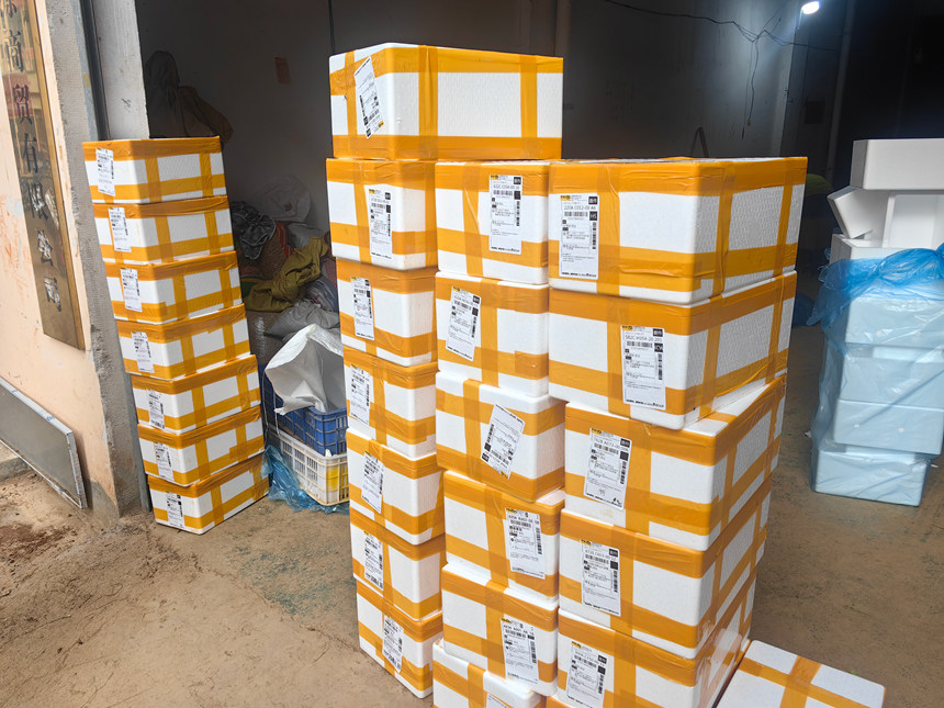 普定县玉秀街道：直播带货进社区 “小”镜头带动“大”就业(图3)