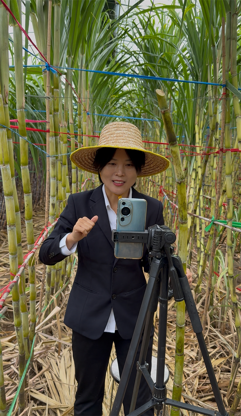 走近河北省首届燕赵女主播大赛参赛者：直播间的“她力量”(图3)