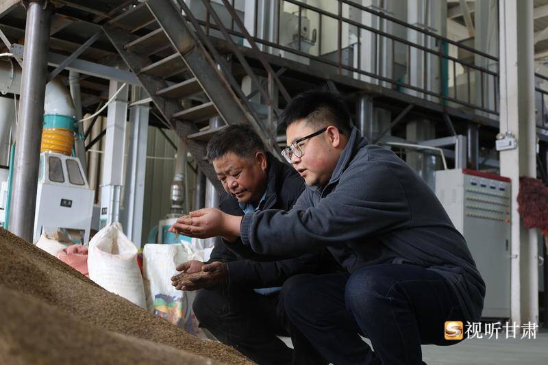 从“有”到“优”！积石山电商五年深耕结硕果(图6)