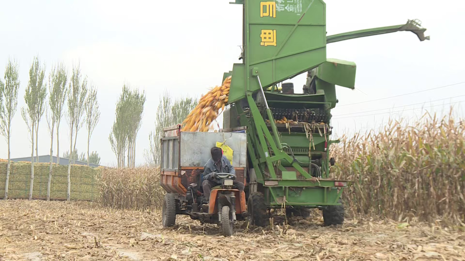 从“粮袋子”到“钱袋子” 繁峙绘就“十四五”乡村振兴新图景(图2)