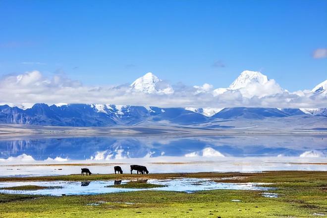 西藏布达拉宫介绍西藏日喀则简介有什么特产(图1)