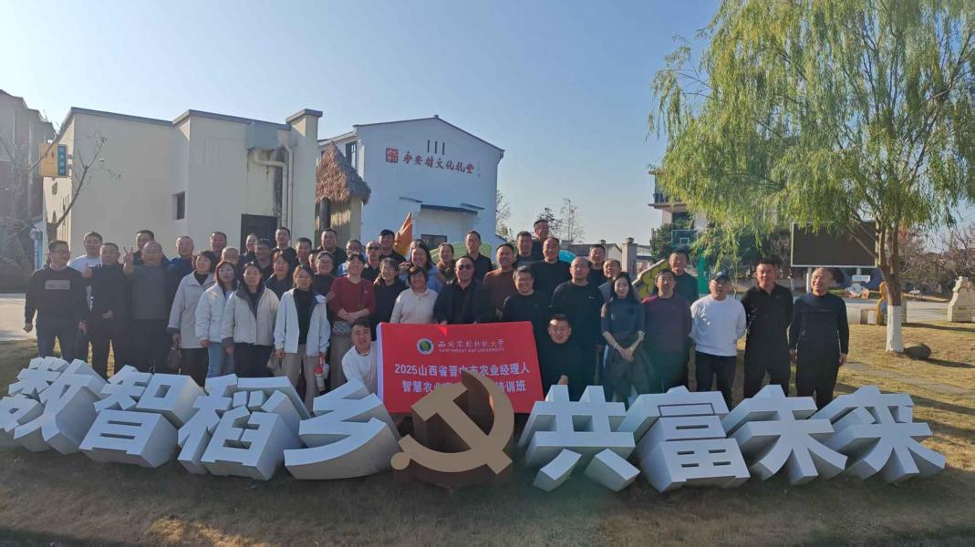 智启农创振兴田 育强晋中“新农芯”(图5)