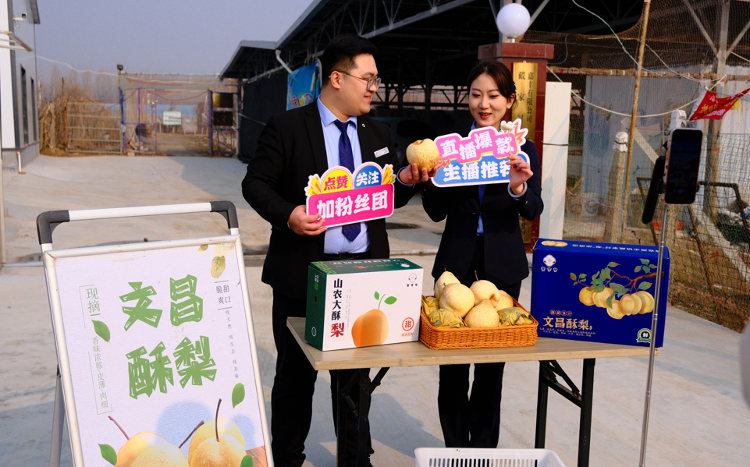 周村农商银行：助农直播搭平台 文昌酥梨香飘万家