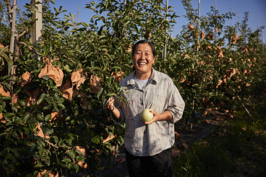 朋友你好吗丨“沂蒙二姐”吕玉霞:柿子熟了诗也成了(图4)