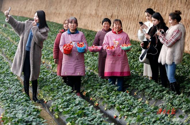 农村个人农产品直播带货实施方案