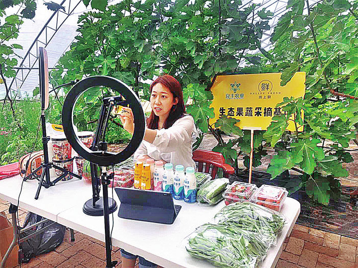 长丰好物 “长”联共富(图1)