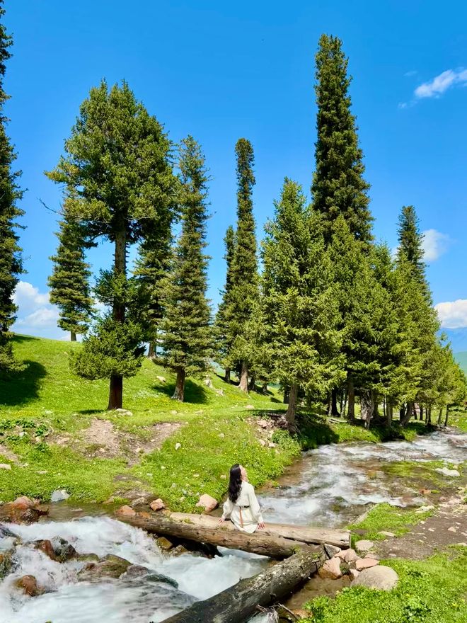 新疆八日游带老人私人游多少钱新疆阿勒泰8日游跟团费爆省30%(图3)