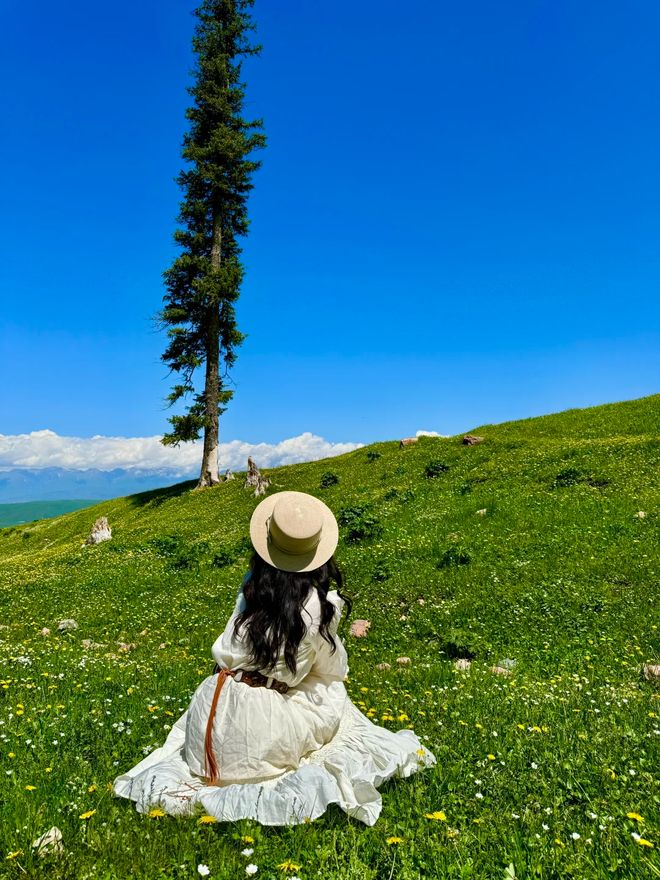 新疆八日游带老人私人游多少钱新疆阿勒泰8日游跟团费爆省30%(图2)