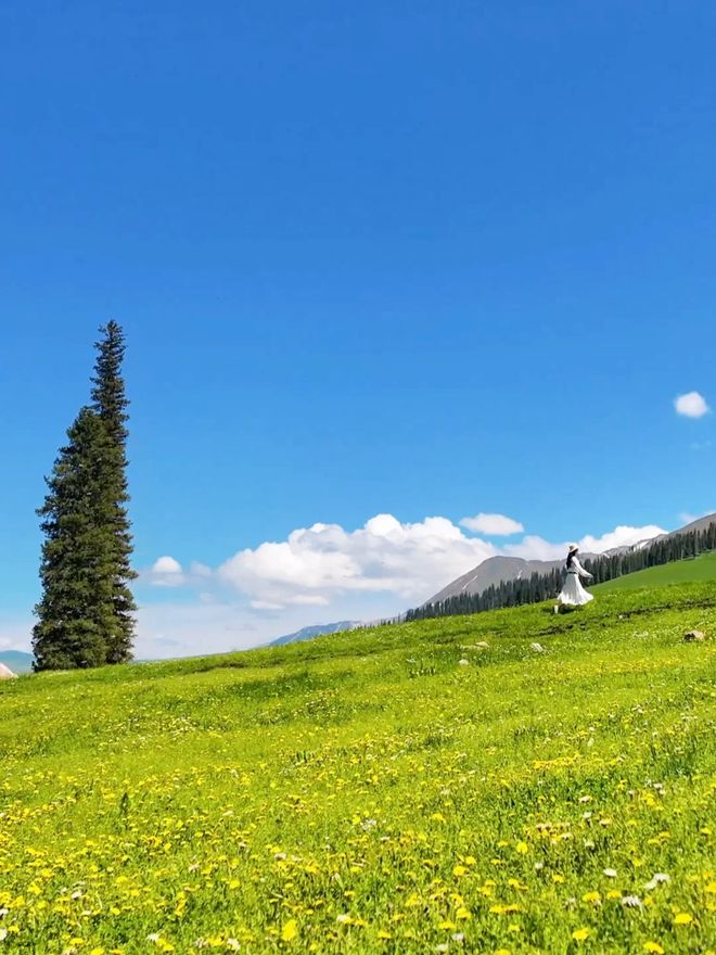 新疆八日游带老人私人游多少钱新疆阿勒泰8日游跟团费爆省30%(图4)