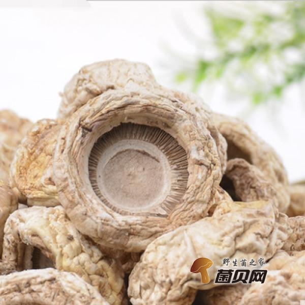 天山雪水润臻味 闽疆同心贺新春(图1)