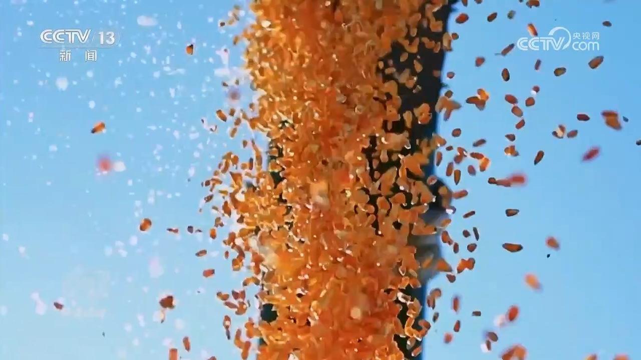 焦点访谈｜守护“舌尖上的安全”新规来了(图7)