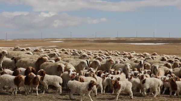 字母索引_X_1_食品资讯_食品资讯新闻报道安全行业监管消费者(图1)