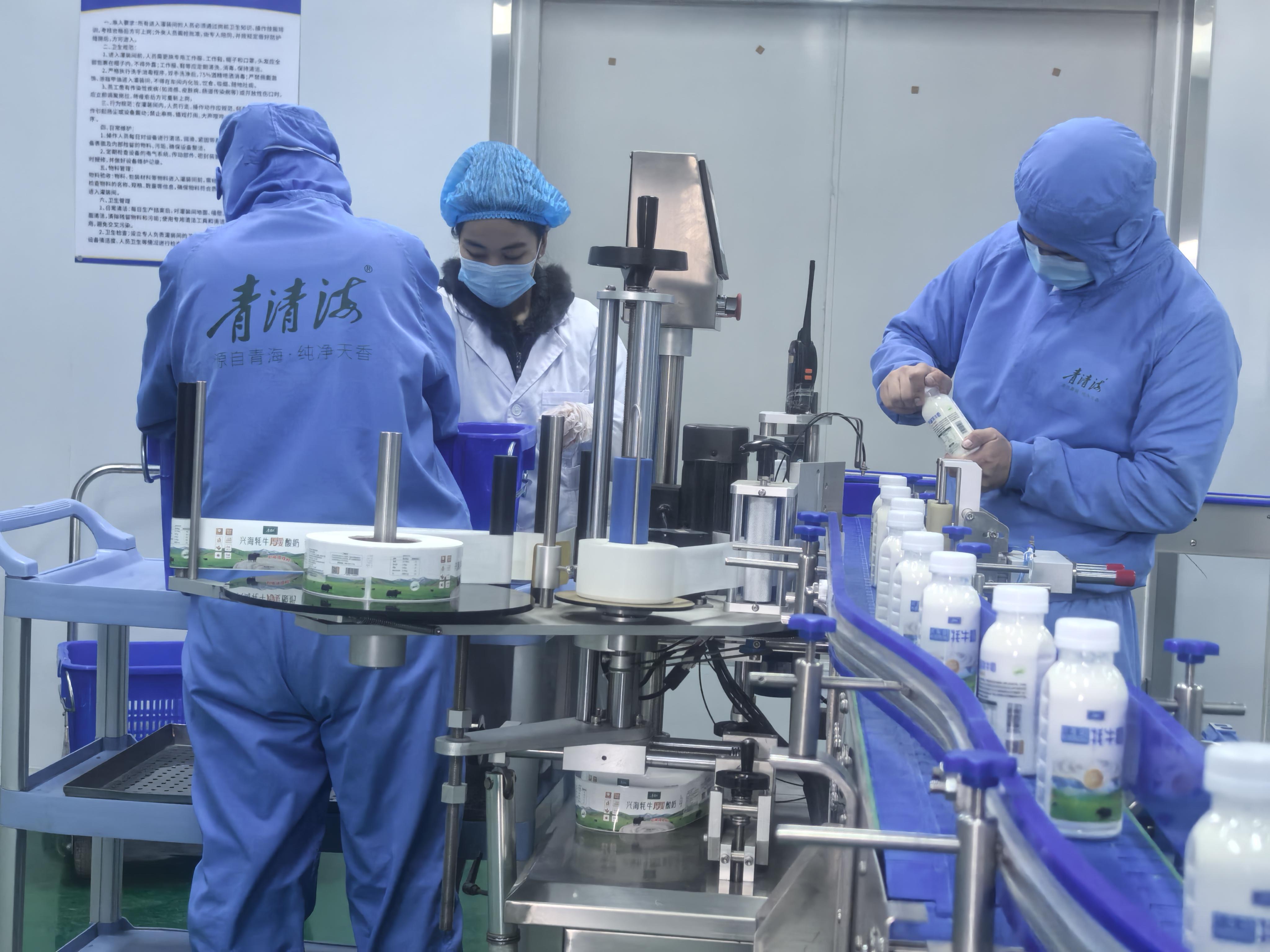 兴海牦牛奶将从草原深处飘香全国