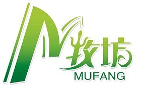 海南椰子鸡和宁夏滩羊的电商“漂流”：透视地域特产的数字进化论