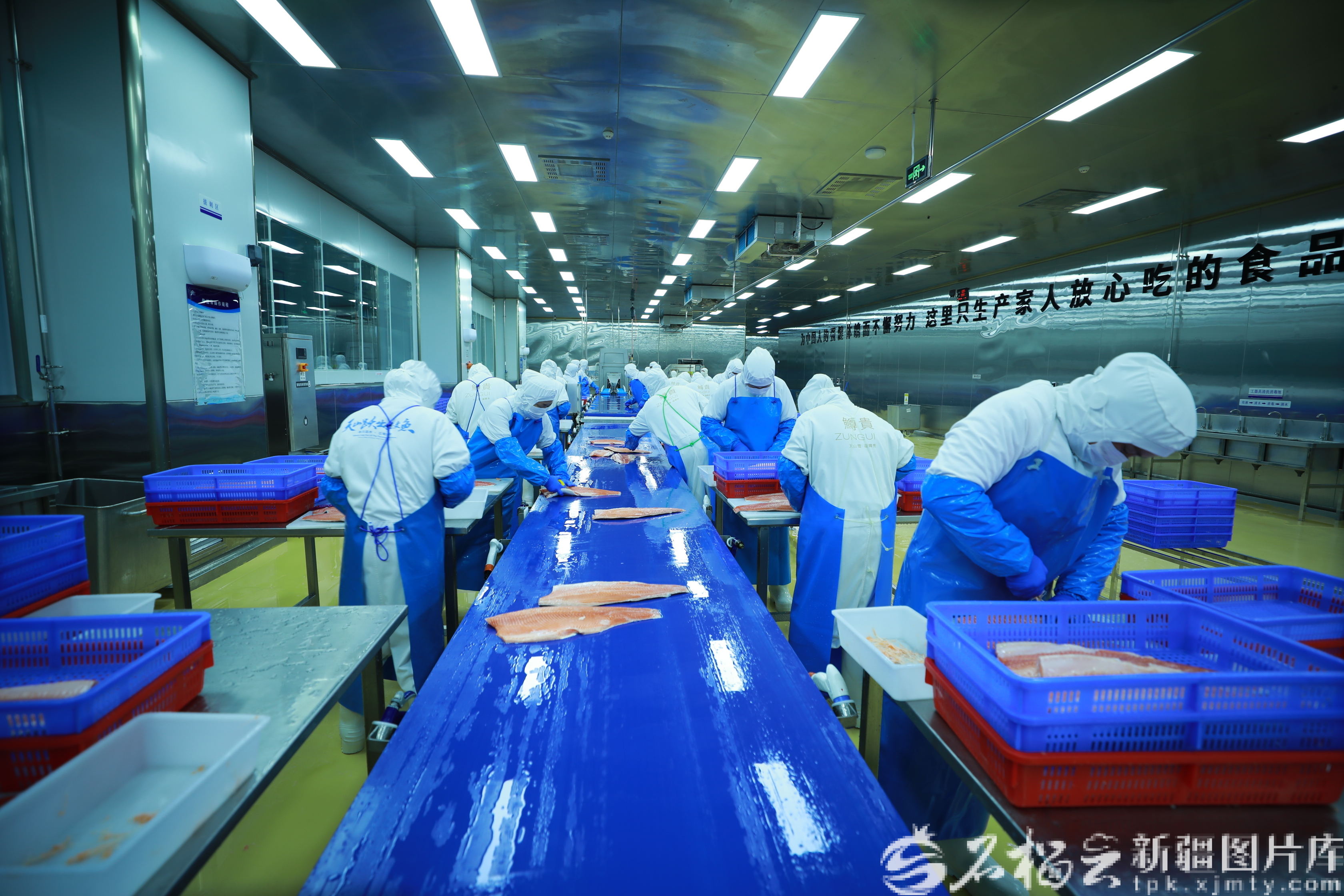 鱼肥市旺 新疆“鲜”达四方(图2)