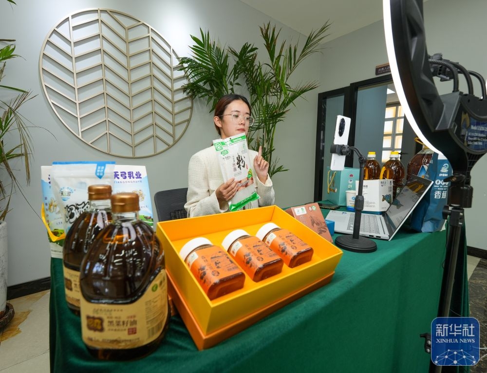 区县乡村--辽宁频道--人民网_网上的人民日报