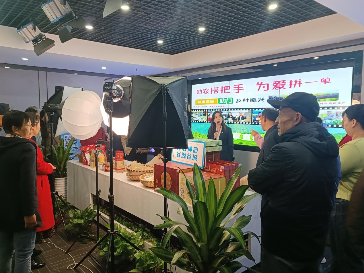 达州宣汉：“振兴工坊”里的“直播致富经”