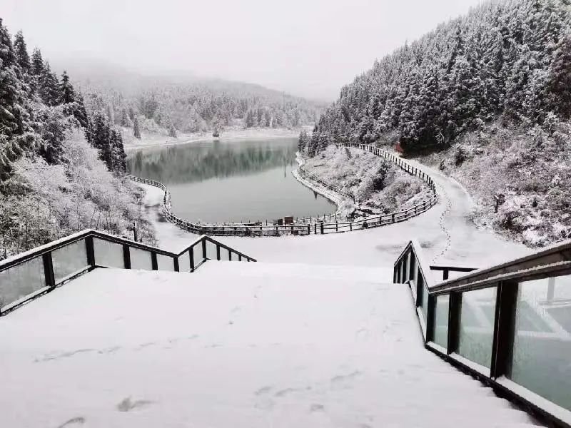 重庆冬天有哪些地方可以看雪 重庆看雪好去处(图3)