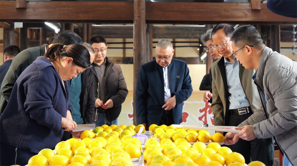 30多位主播走进建阳 助力建阳桔柚出圈(图4)