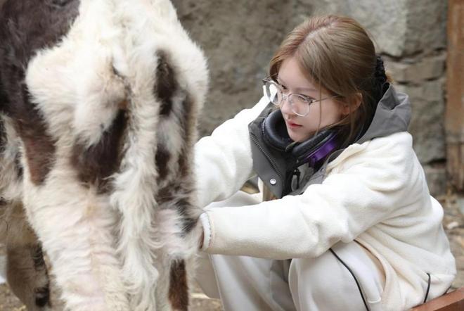 赵露思直播宣传滞销农产品报酬曝光创3400万销售额全网激赞(图4)