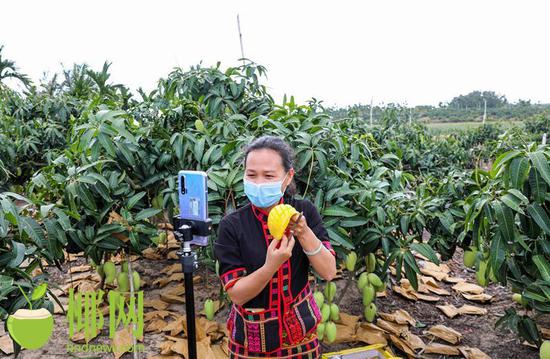 隆德县元旦农文旅活动火热 多元消费市场活力迸发