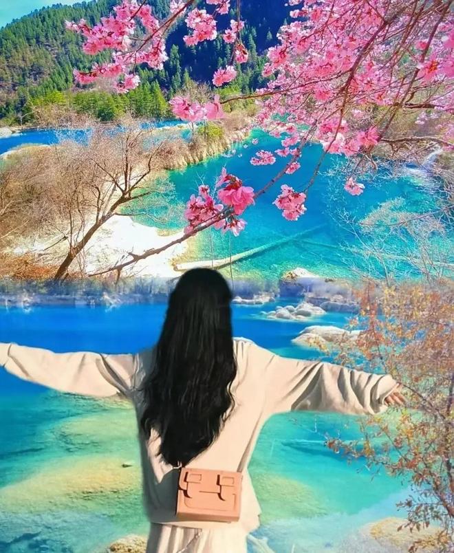 带父母去四川旅游五天四晚纯玩团四川旅游团报价5日游多少钱