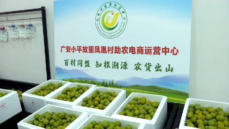 贵州时尚走秀：洋学子点赞乡村好物助力“黔货出山”