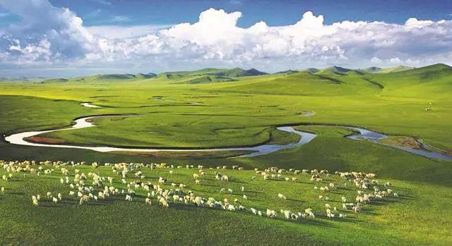 内蒙古十大特产探秘草原瑰宝你了解多少？