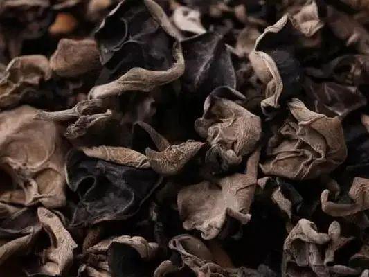 内蒙古十大特产探秘草原瑰宝你了解多少？(图11)