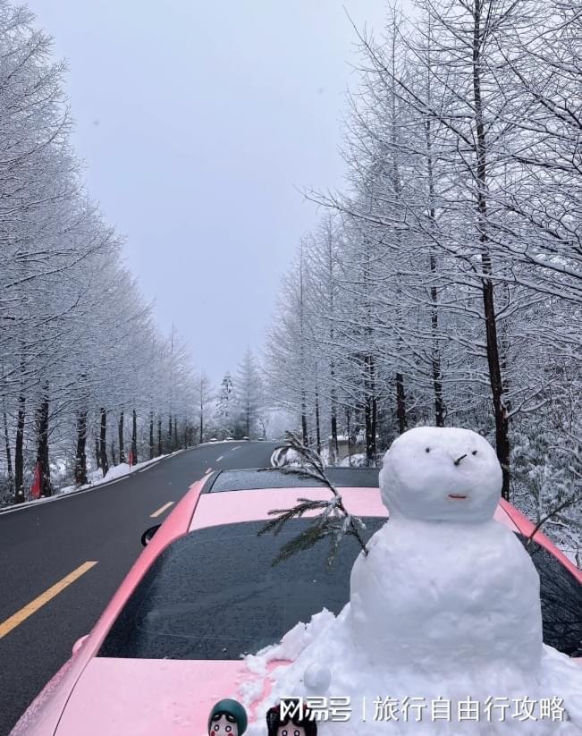 冬季重庆纯玩跟团4天3晚攻略看完这篇重庆4日游少走弯路！(图4)