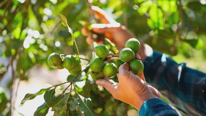 中国人又吃出了个世界第一(图3)