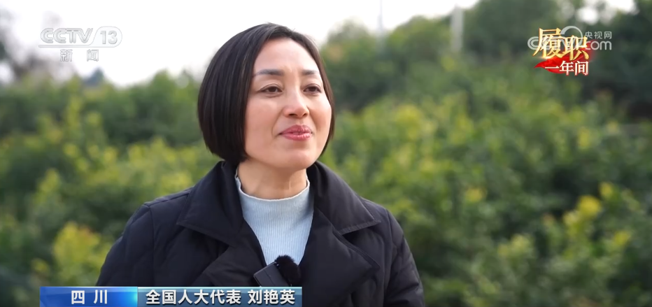 履职一年间 打好“特”字牌 让乡村“土特产”变身振兴“金名片”