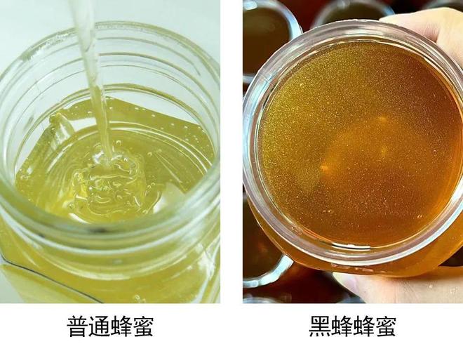 一口尝到塞外百花香！一年产一次海拔2800米“珍稀蜜源”(图18)