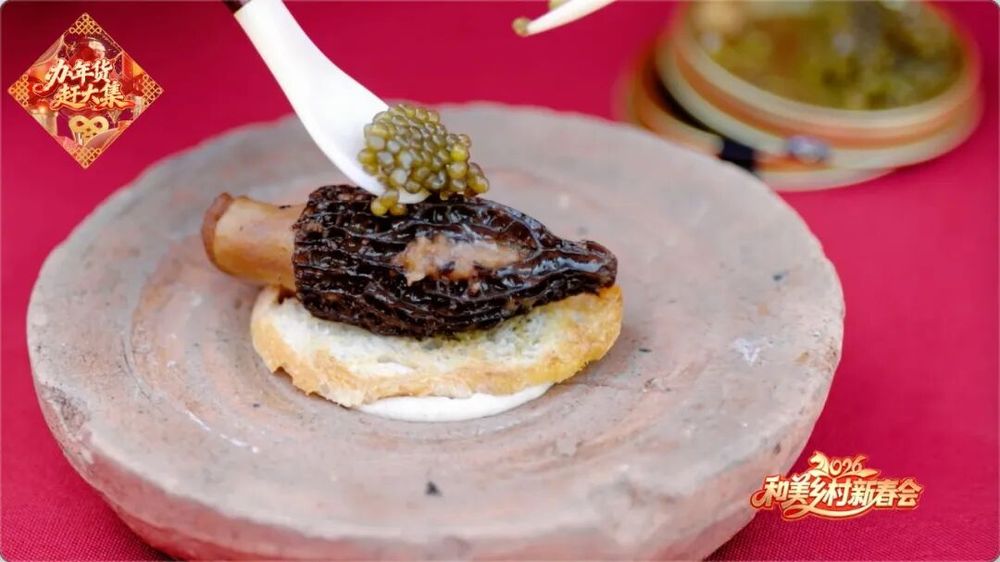 城乡汇聚庆丰年！2026年《和美乡村新春会》大年初一登场(图5)