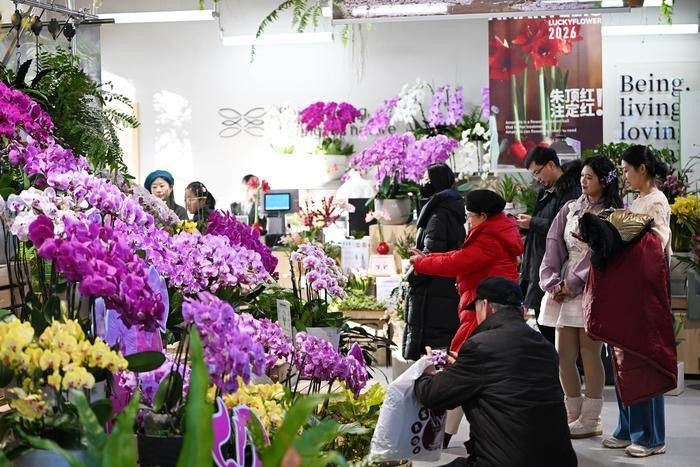 包头：节日文旅市场出圈更出彩(图5)