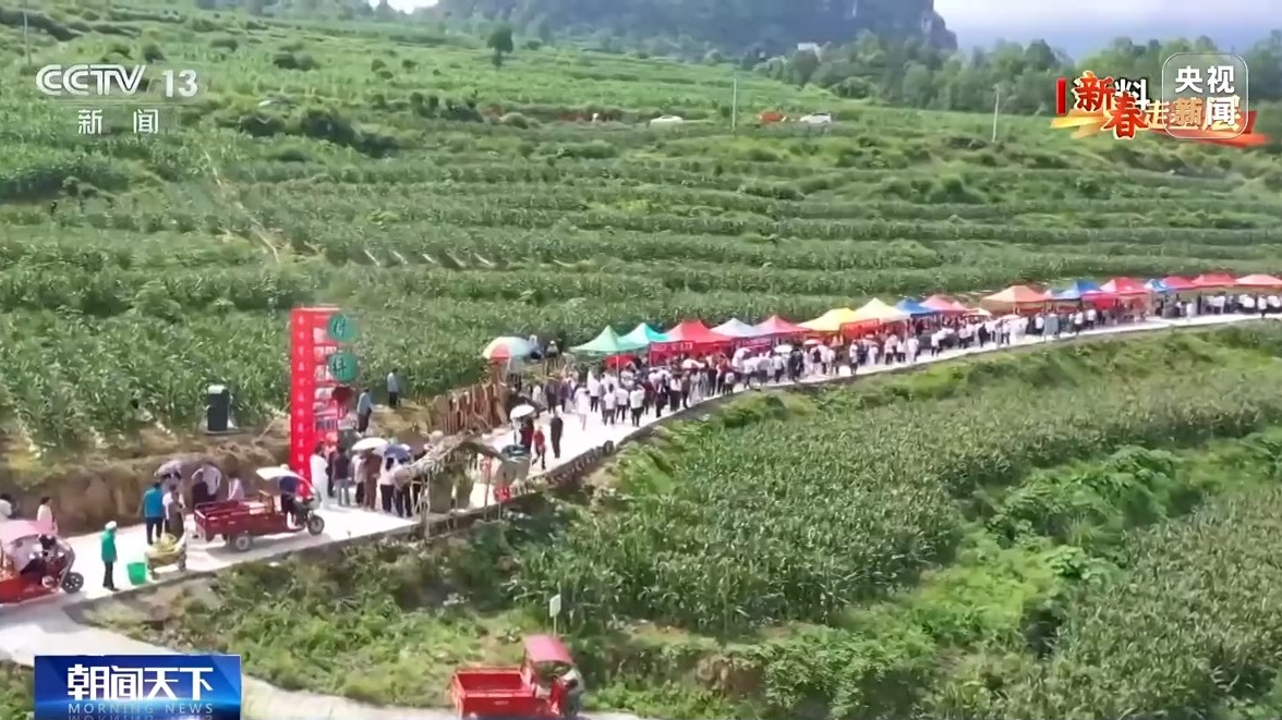 新春走基层丨把传统集市搬到线上 他们让农产品走出大山(图6)