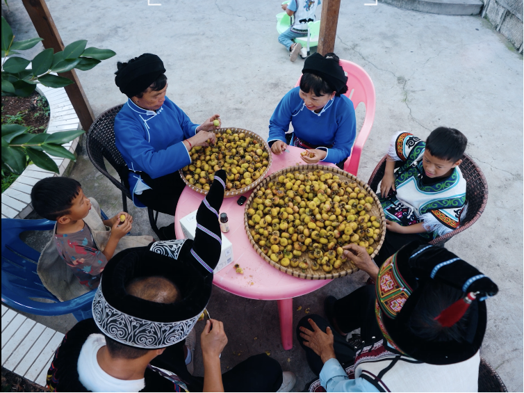 “十五五”新起点下的直播电商价值升维：从流量场到系统赋能者(图6)