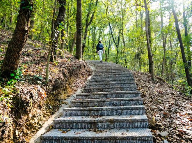 被误读为“奶绿液”安徽明光如何迅速“接梗”火爆出圈(图6)