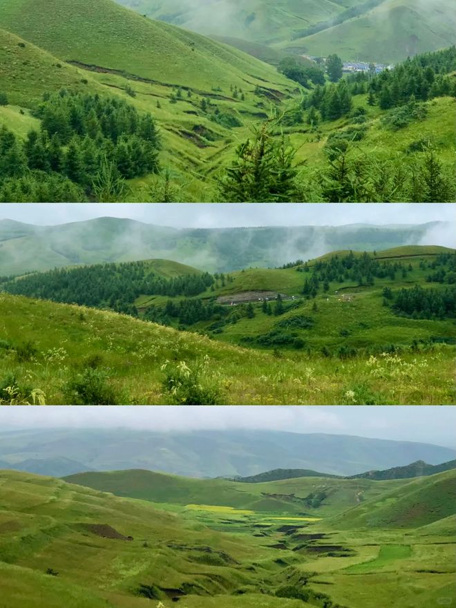 三月份内蒙古旅游攻略：五天四夜希拉穆仁美岱召人均预算及跟团(图4)