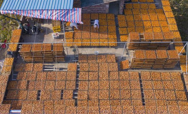 韩俊部长答记者问：学会给农产品“梳妆打扮”(图1)