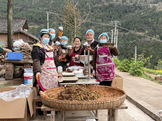 四川苍溪“村播助农”释放乡村振兴新动能(图1)
