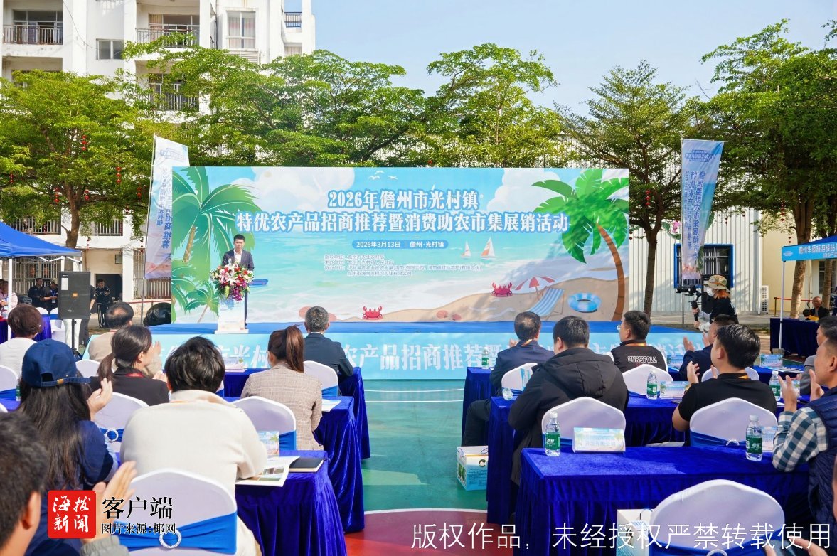 2026年儋州市光村镇特优农产品招商推荐暨消费助农市集展销活动举行(图1)