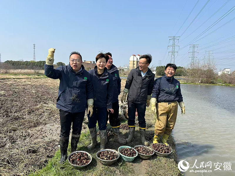 农村电商“播种”在肥东乡土之中