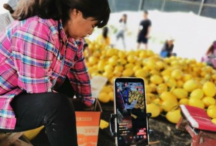 数商兴农 点亮乡村振兴路(图1)