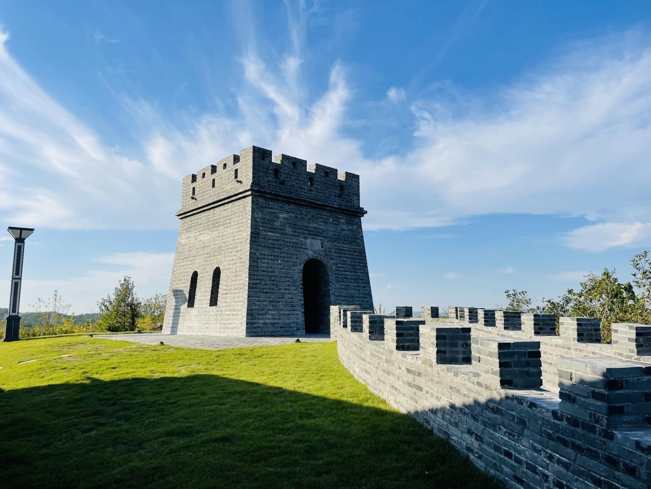 “明”星主播 “光”耀乡村丨“村官主播”打开乡亲“致富门”(图2)